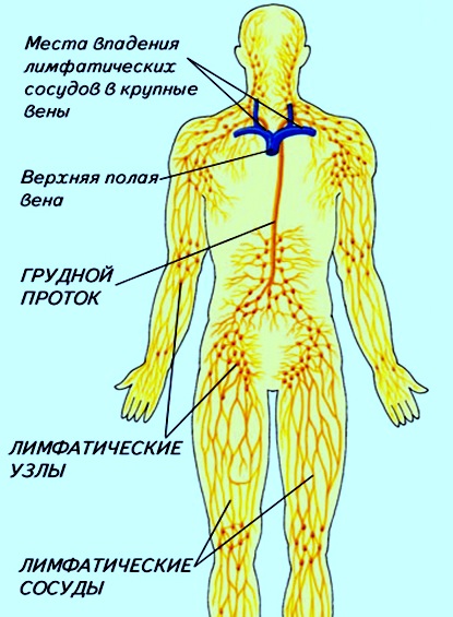 Лечение метастазов лимфоузлов в Москве