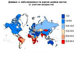 Рак шейки матки: статистика